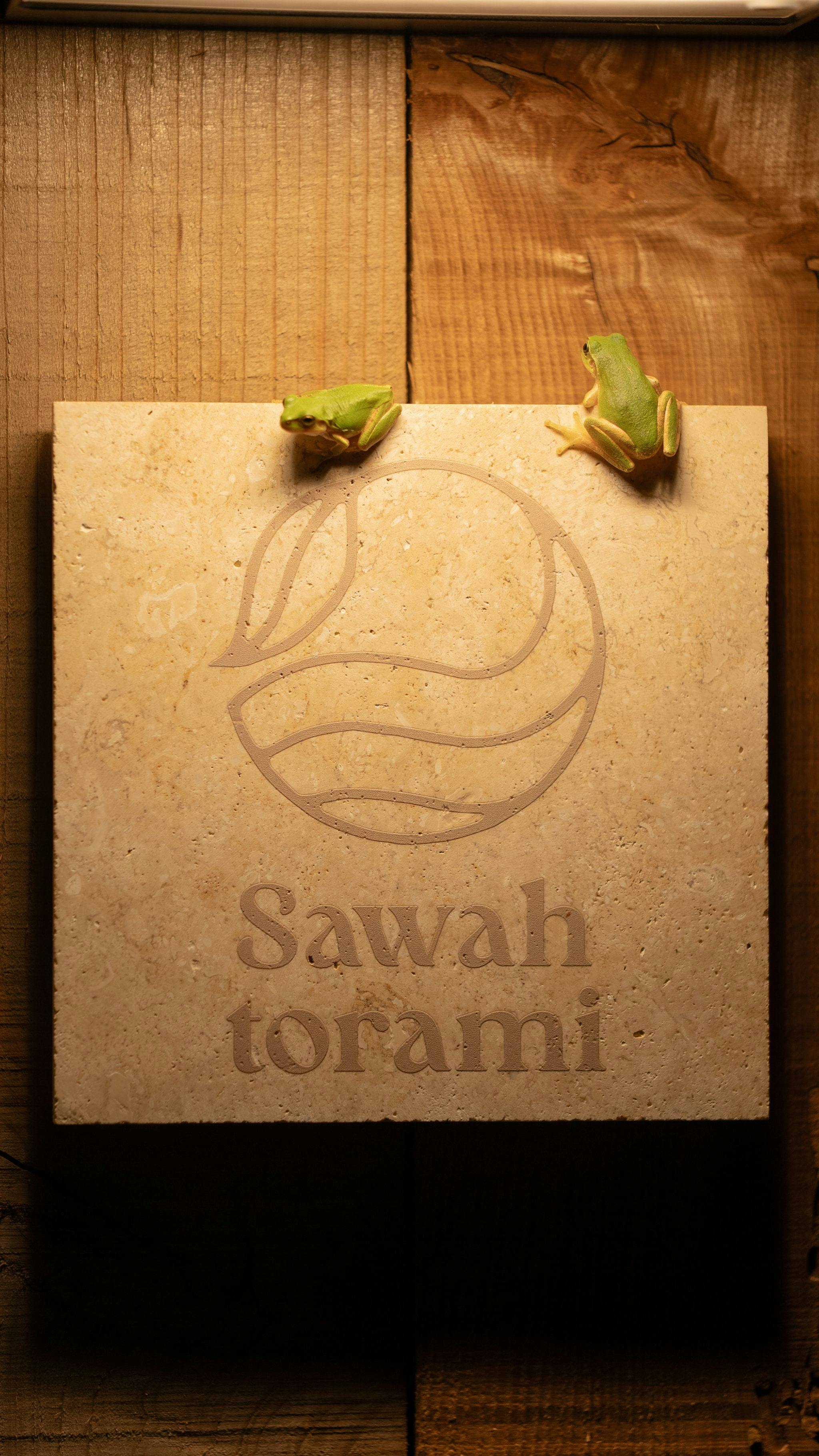 ป้ายซาวะ โทรามิ