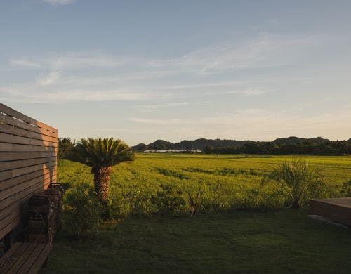 夕暮れ、お庭側