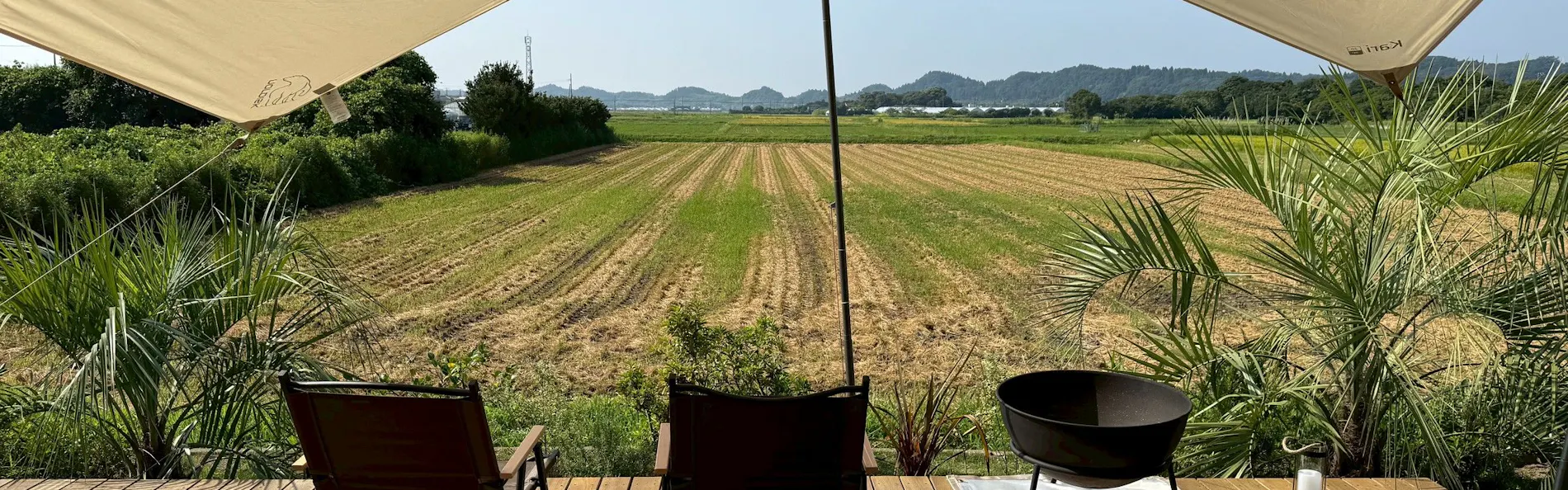 sawah torami