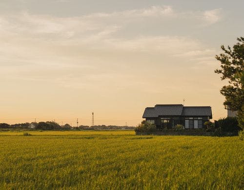 前面たんぼ側から