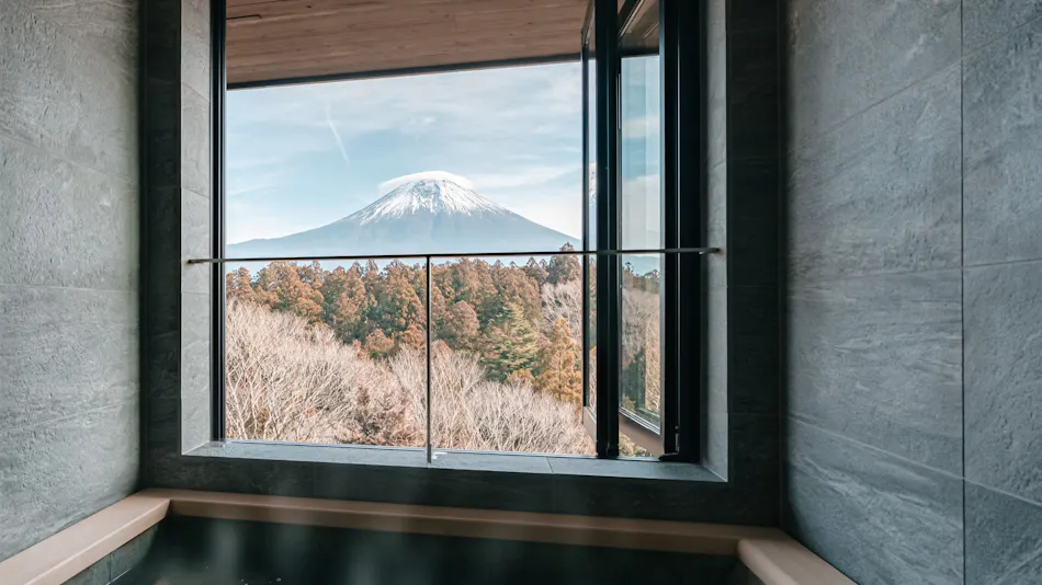 Naka Fuji