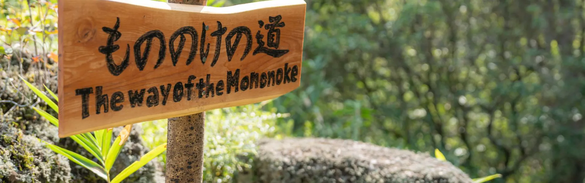 なか富士