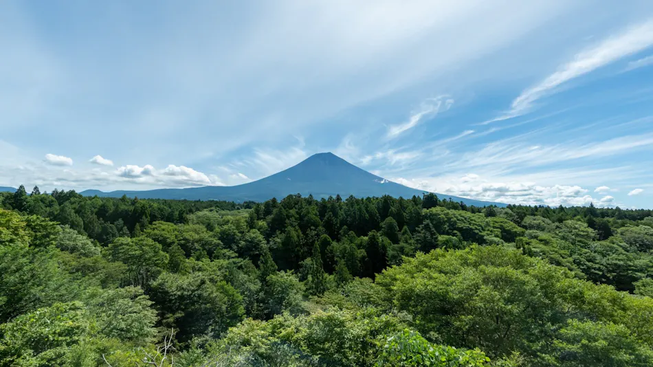 Naka Fuji