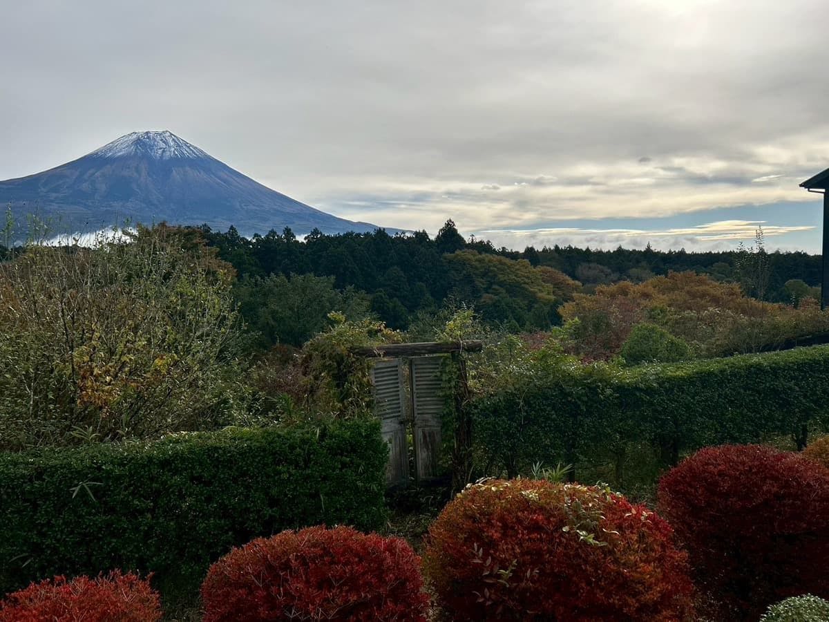 Naka Fuji
