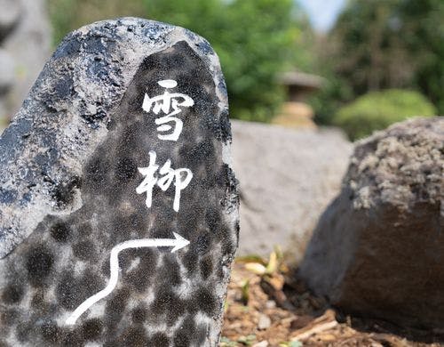 雪柳　案内石
