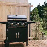 สิ่งอำนวยความสะดวกสำหรับปิ้งย่าง BBQ