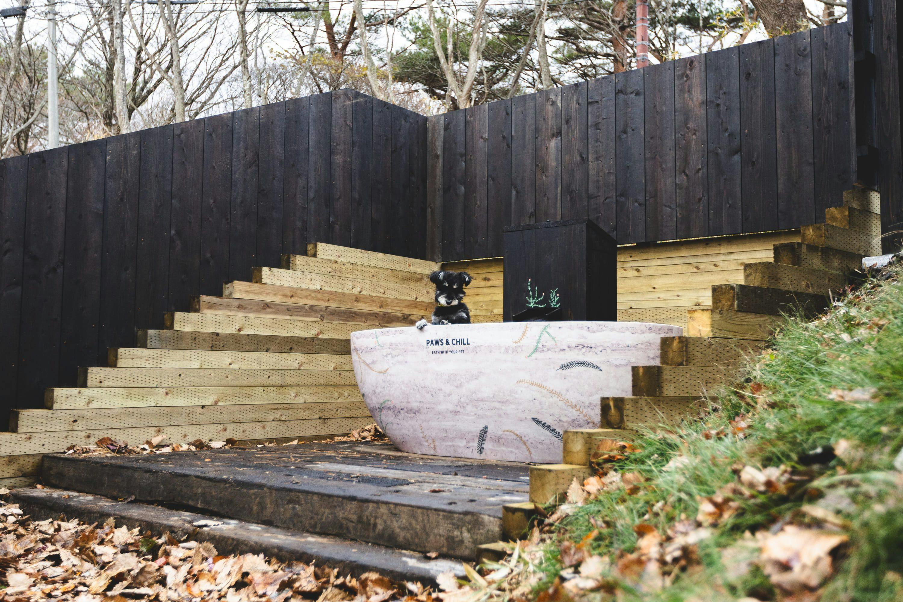 Earthboat Nasu（那須）