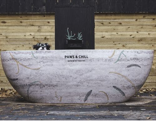 ペットと一緒に入浴できます