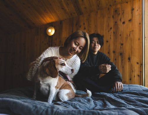 全室ペット同伴可