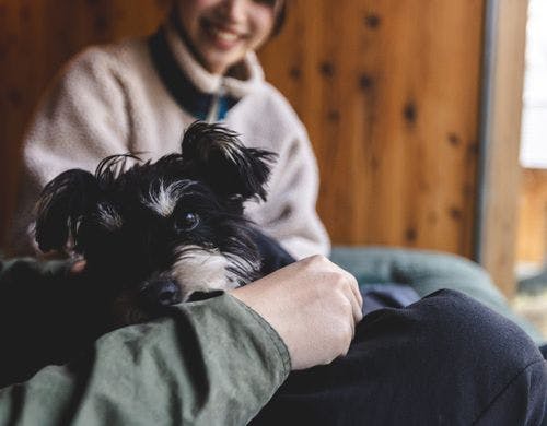 全棟ペット同伴化