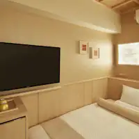 Japanese Modern Force