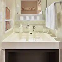 Japanese Modern Force อ่างล้างหน้า