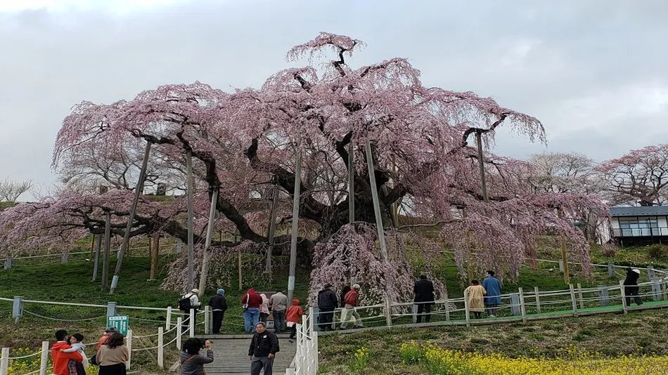 Bandai no Yu Dormy Inn EXPRESS Koriyama