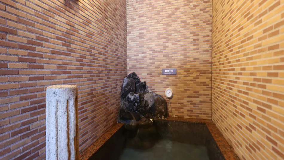 Natural Hot Spring Azusa no Yu Dormy Inn Matsumoto