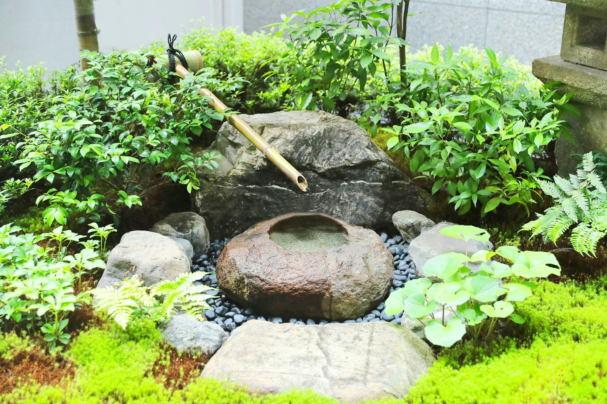 ハートンホテル京都
