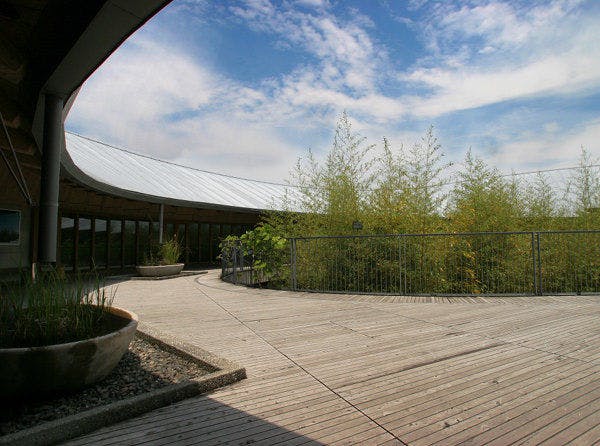 Taman Botani Makino (tempat pelancongan berdekatan)