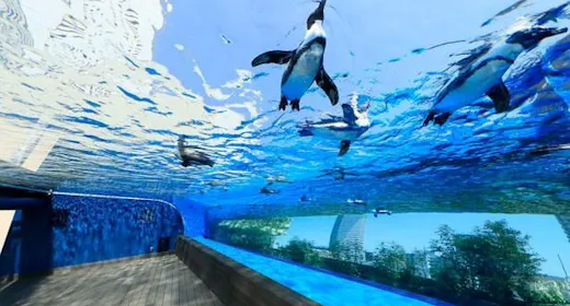 【サンシャイン水族館チケット付】女子旅にもデートにも!池袋観光の定番!<素泊り>