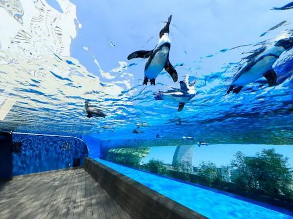 【サンシャイン水族館チケット付】女子旅にもデートにも!池袋観光の定番!<素泊り>