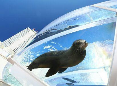 【サンシャイン水族館チケット付】女子旅にもデートにも！池袋観光の定番！＜素泊り＞