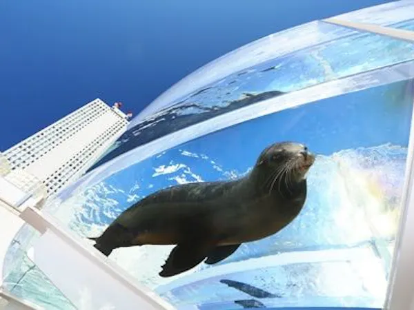 【サンシャイン水族館チケット付】女子旅にもデートにも!池袋観光の定番!<素泊り>