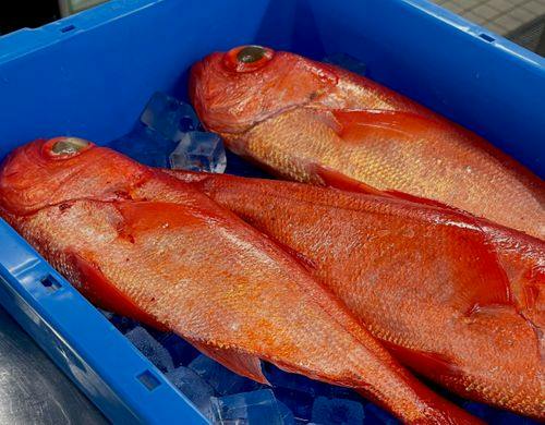 房総沖でとれた鮮魚を使います