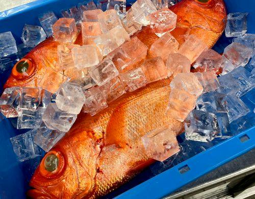 房総沖でとれた地魚を使用