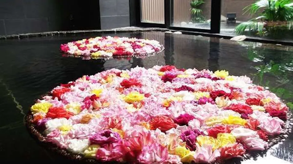Natural Hot Spring Silk Skin Bath Silk Inn Kagoshima