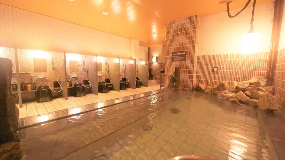 Natural Hot Spring Kinko no Yu Dormy Inn PREMIUM Nagoya Sakae