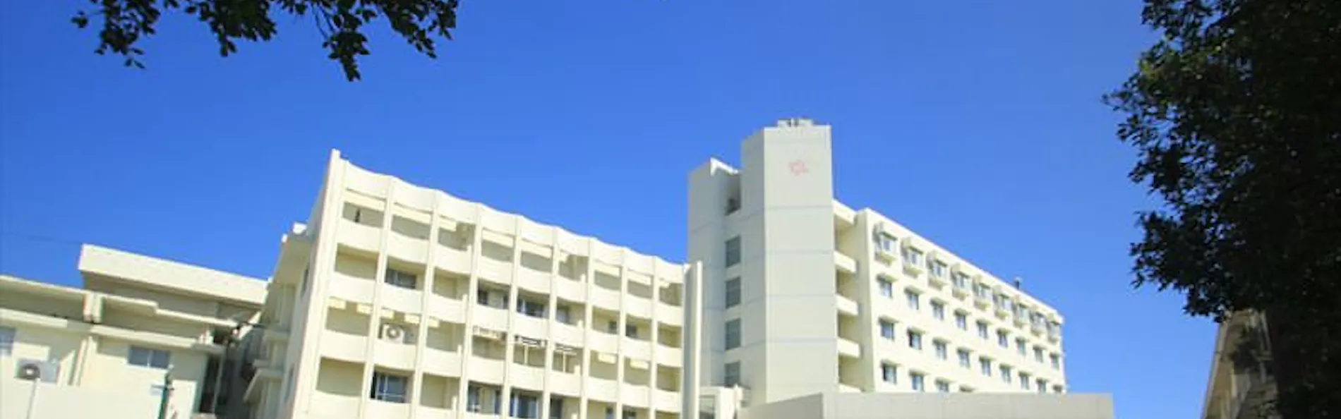 南の美ら花 ホテルミヤヒラ