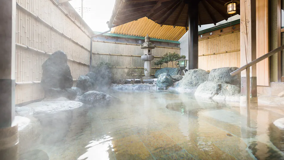 Hotel Fuji Ryugamine