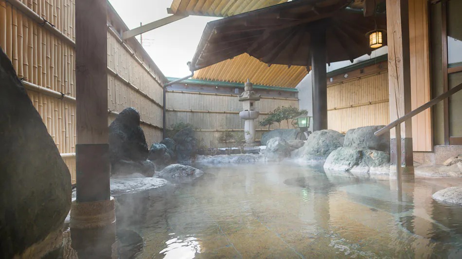 Hotel Fuji Ryugamine
