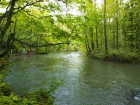 グランパークホテルパネックス八戸