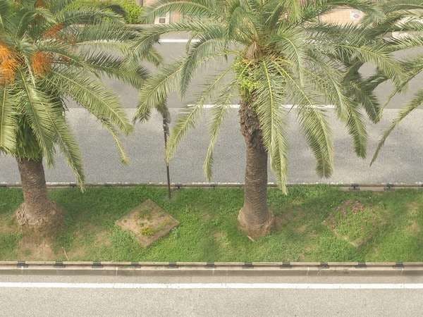 お部屋から見た追手筋☆