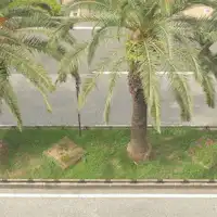 วิวถนนโอเตะสึจิจากห้องพัก☆