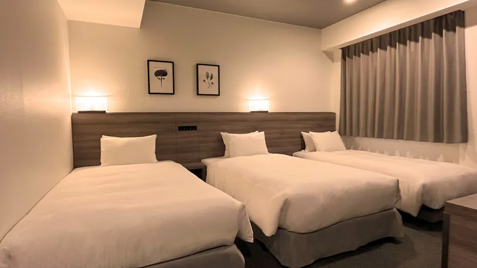 Odysis Sapporo Odori Koen Hotel