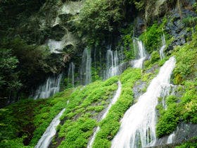 ソレスト高千穂ホテル