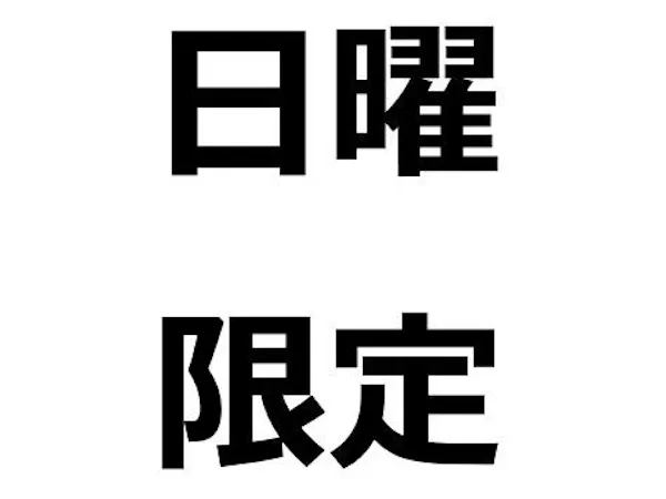 【日曜限定】事前決済でスムーズチェックイン バーゲン素泊りプラン