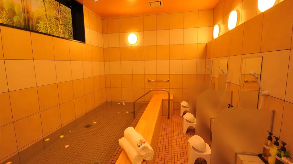 Grand Park Hotel The Luxueux Minami-Kashiwa