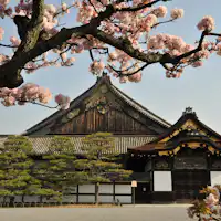 世界遺産「二条城」入場券セットプラン販売中