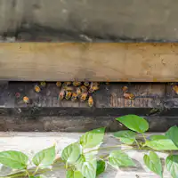 HONEY.Kの京都テロワールハニー販売中