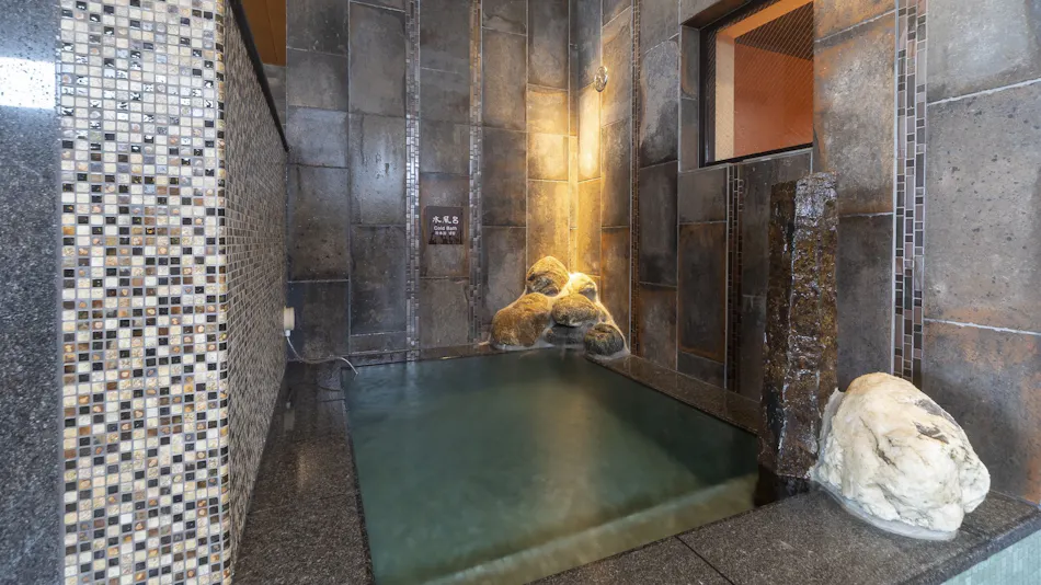 Natural Hot Spring Ougihama no Yu Dormy Inn Kawasaki
