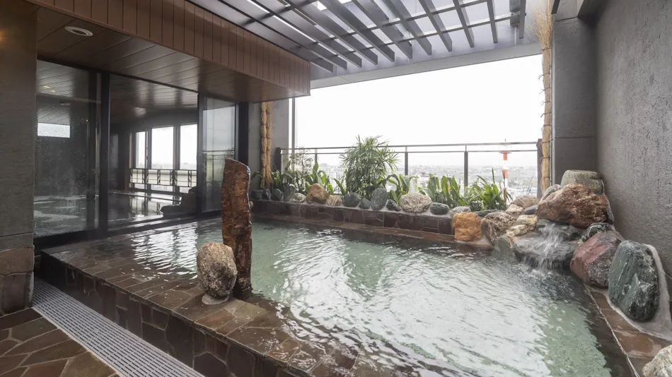 Natural Hot Spring Ougihama no Yu Dormy Inn Kawasaki