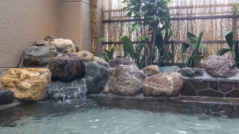 Natural Hot Spring Ougihama no Yu Dormy Inn Kawasaki