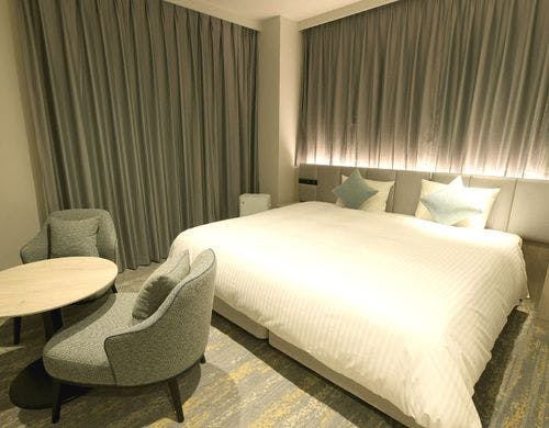 ◇デラックスダブル全景イメージ（昼）