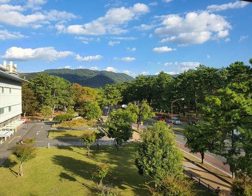 スーペリアツインAの景色