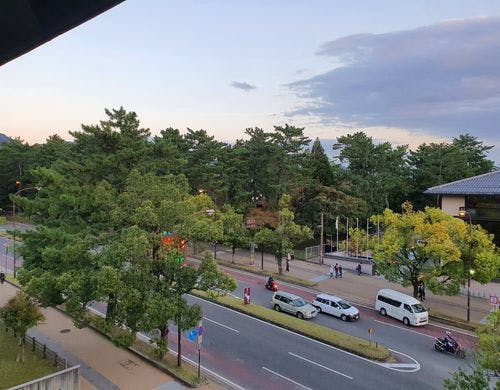 スーペリアツインBからの景色