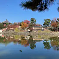 興福寺と猿沢池