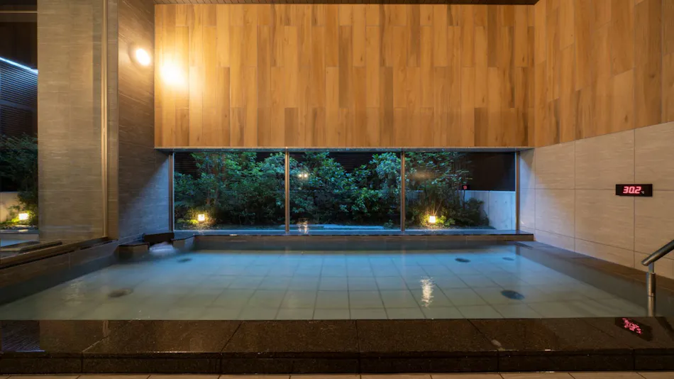 HOTEL MYU STYLE INUYAMA experience