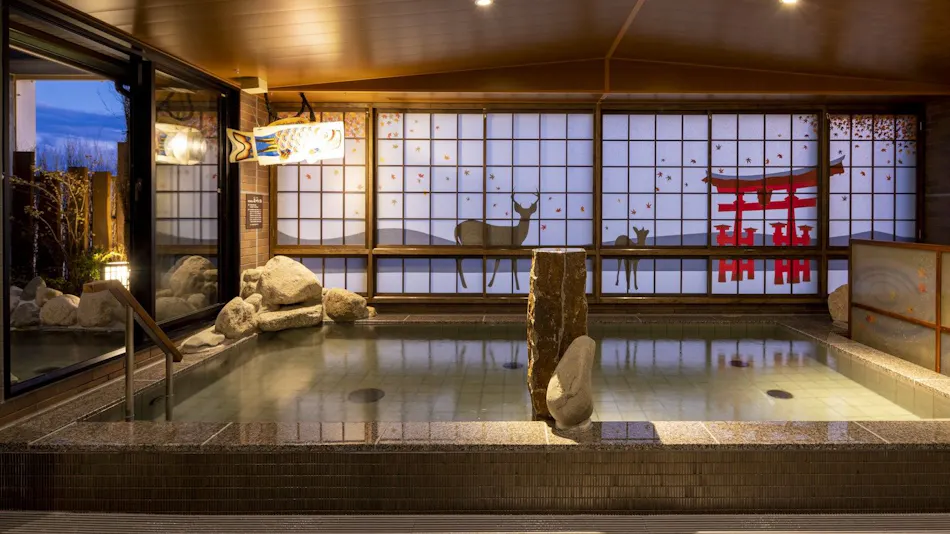 Natural Hot Spring Geishu no Yu Dormy Inn Hiroshima ANNEX