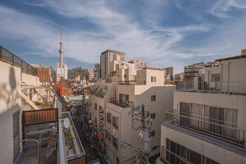 Asakusa Maple